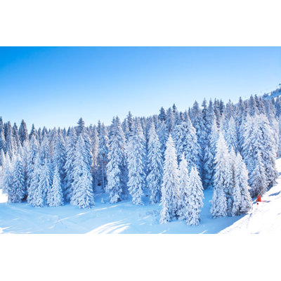 Ski Resort 1 Piece Wrapped Canvas Wall Art