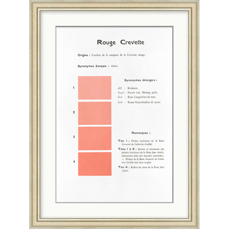 Coral 8 Print by Danielle Rollins