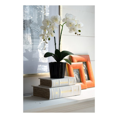 Set of 2 Decorative Book Boxes in White and Gold Finish, MDF Storage Containers for Shelves and Desks