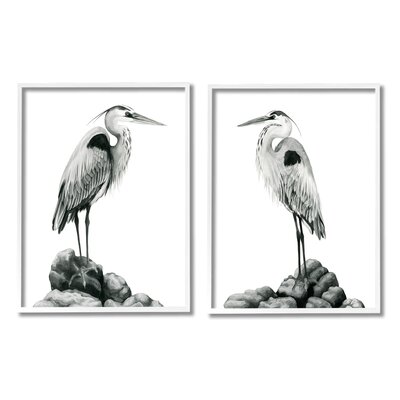 Great Herons Standing Rocks Black White Bird Portraits 2 - Piece Graphic Art Set -  Stupell Industries, a2-229_wfr_2pc_24x30