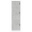 Kitchen Cupboard Kalmar Engineered Wood-1308268200
