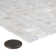 Conchella 0.75" x 0.75" Seashell Mosaic Tile