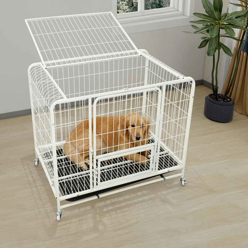 Cage pour chien avec plateau Cage pour chien avec roues