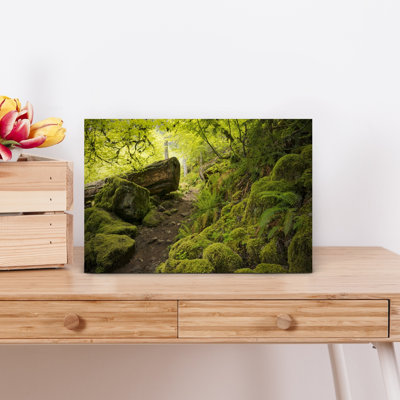 Mossy Path Abstract Contemporary Fern Forest Landscape Wall Art Print