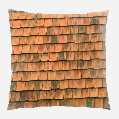 Architecture Throw Pillow