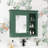 30'' X 28'' Medicine Cabinet-856390396