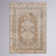 Bria Machine Washable Oriental Chenille Area Rug with Canvas Backing
