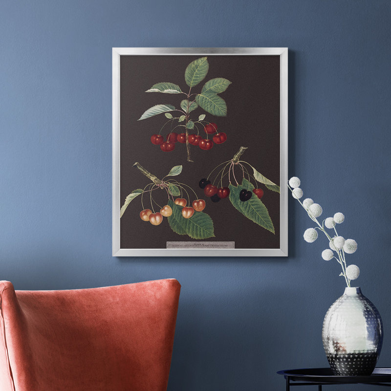 Toile encadrée de qualité supérieure Brookshaw Cherries, H 24 po x l 20 po, Argent