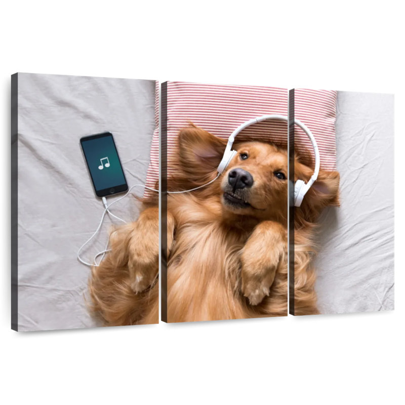 Brampt Music Loving Golden Retriever, 36" H x 57" W