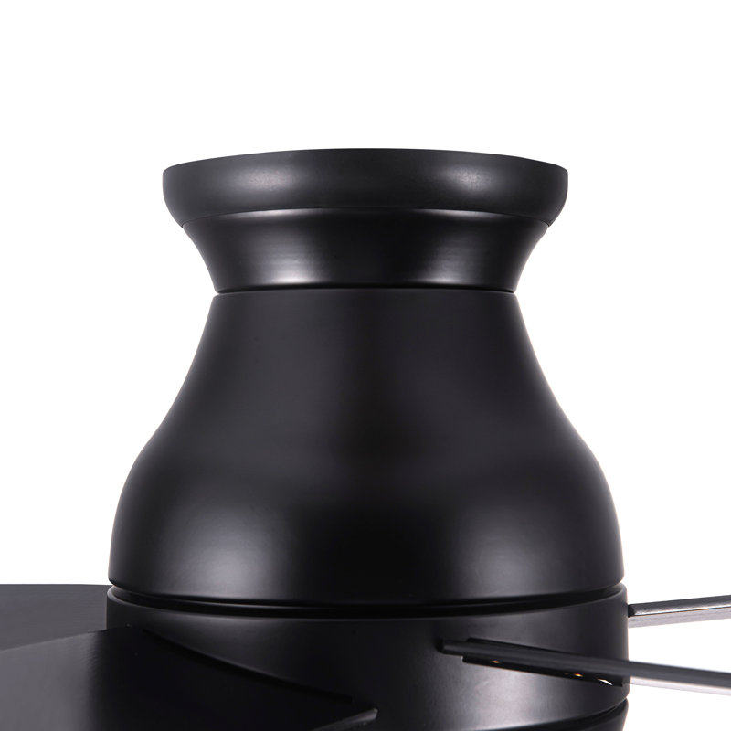 Ventilateur de plafond 52 po avec lumières à profil bas, Noir, Noir