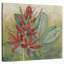 Harnek cramoisi tropical I-109228972