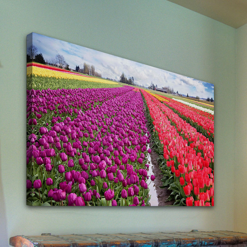 « skagit valley tulips » par sylvia cook, reproduction d’art sur toile tendue, H 12 po x l 18 po x P 1,5 po