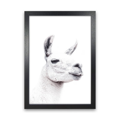 Llama I 1 Piece Wall Art