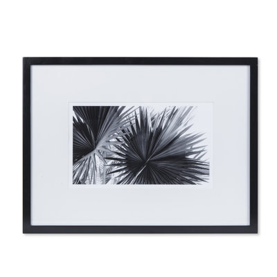 Black And White Palm Leaves B Print