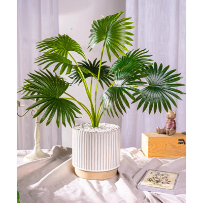 23.62'' Faux Fir Plant in Ceramic Pot