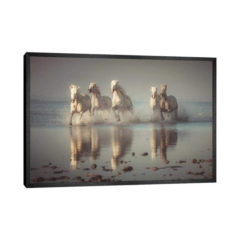Camargue Horses by Rostovskiy Anton - Print on Canvas, 45.72cm H x 66.04cm W x 3.81cm D, Black Floater Framed