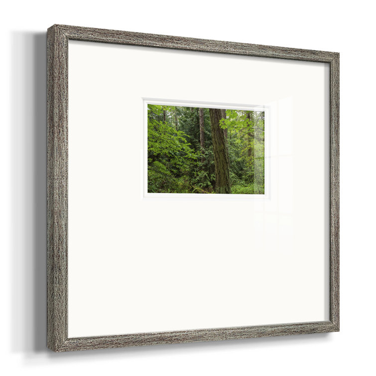 Calm of The Forest - Single Picture Frame Print Millwood Pines Size: 21 H x 21 W x 1.25 D
