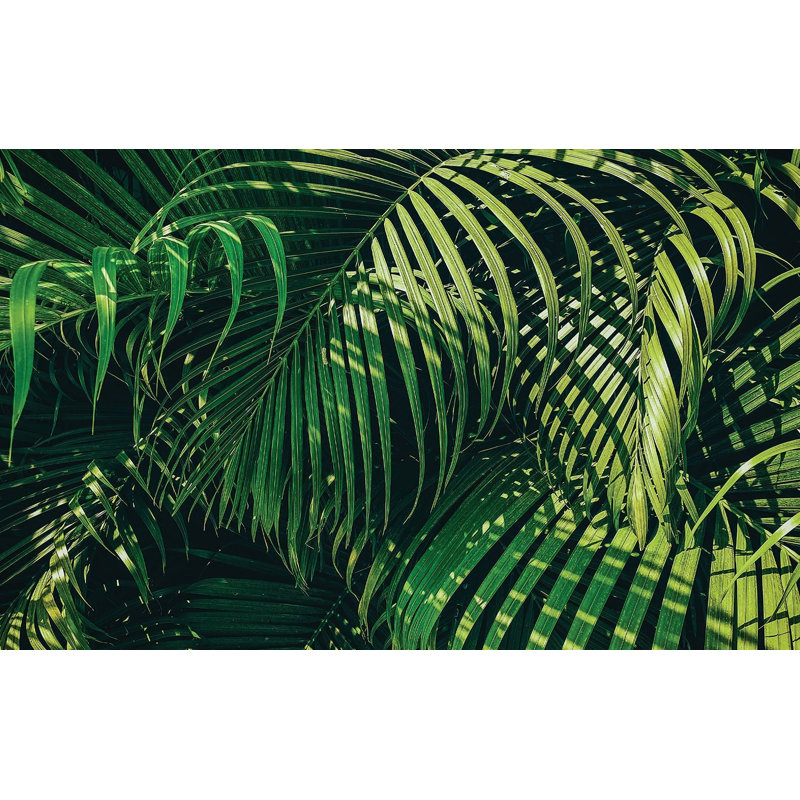 Murale pelez et collez de qualité supérieure - Feuilles vertes tropicales, L 120 po x L 96 po