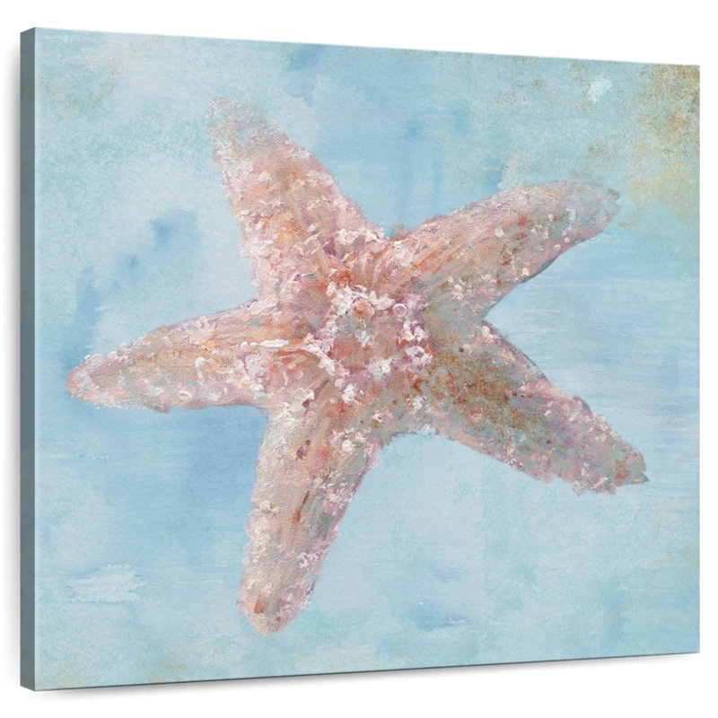 Brampt Treasures From The Sea VI
