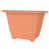 Corail est en rupture de stock