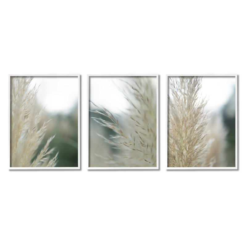 Breezy Pampas Tall Grass par Jason Johnson - Ensemble de 3 photographies sur bois, H 30 po x l 72 po x P 1,5 po