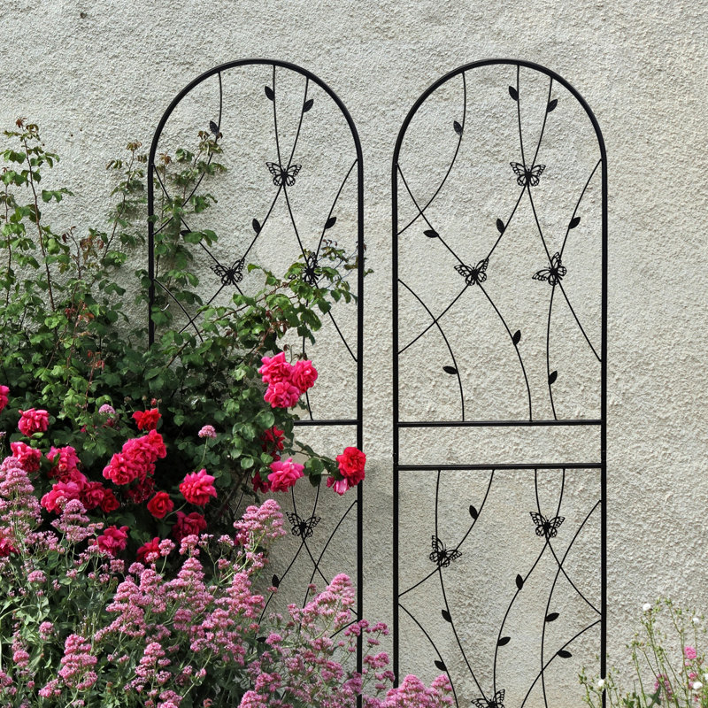 Paquet de 2 treillis de jardin en métal 71 po x 19,7 po antirouille pour l'extérieur pour plantes grimpantes, noir, facile à assembler, matériau, supports lierre, vignes, roses, gloire du matin, jasmin, raisin, concombre, haricots, pois