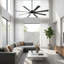Ceiling Fan