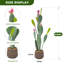 Cactus artificiel à 3 branches 4,5 pi avec fruits roses en pot tissé brun, plantes de cactus artificielles pour plantes grasses