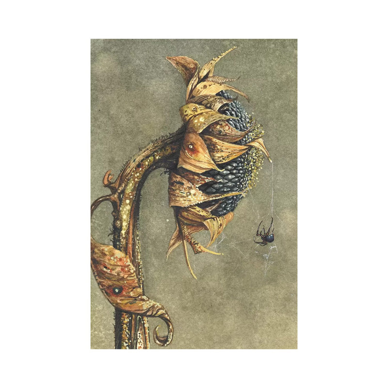 Along Came A Spider by Maggie Vandewalle - Wrapped Canvas Print, 66.04 cm H x 45.72 cm W x 3.175 cm D
