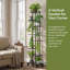 Plant Stand