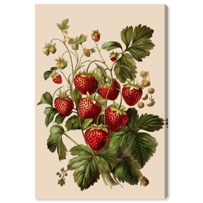 Strawberry Softness I, impressions sur toile par Art Remedy