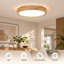 1-Light Integrated LED Flush Mount