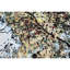 Canterbury Area Rug-72022846