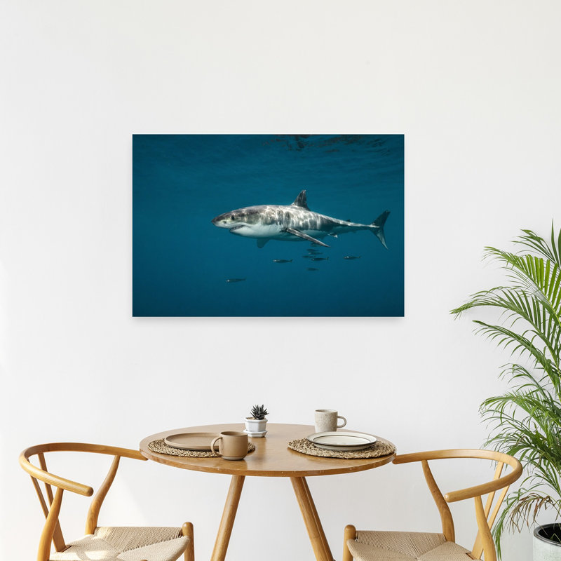 " Majestic Great White Contemporary Fish Shark Nature Ocean Wall Art Print " Print, 24" H x 36" W