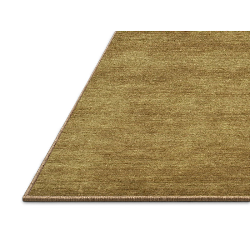 Tapis brun contemporain, Rectangle 2 pi x 3 pi