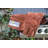 Outset Oven Mitts Oven Glove