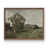 Noyer