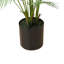 Outdoor UV Rated Kentia Palm Drop-In