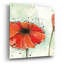Art mural en verre «Not a California Poppy 3» par Chris Paschke-1766328281