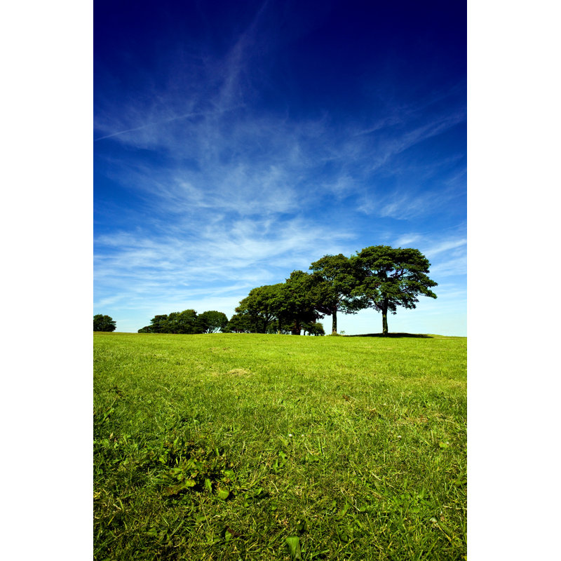 Summer Landscape by Duncan1890 - No Frame Art Prints on Canvas, 122cm H x 81cm W