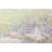 Deshawn Collection Transitional Abstract Area Rug Ivory-67105418