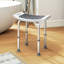 Chaise de douche avec siège rembourré en EVA et pieds à ventouse 300 lb