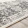 Payson Oriental Indoor Rug
