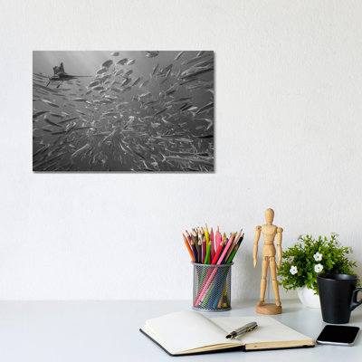 Atlantic Sailfish Hunting Round Sardinella School, Isla Mujeres, Mexico by Tim Fitzharris - No Frame Gallery-Wrapped Canvas Giclée on Canvas