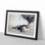 Crabs on Shore Rocks by Shibata Zeshin - Picture Frame Painting Print-55510449-55510448