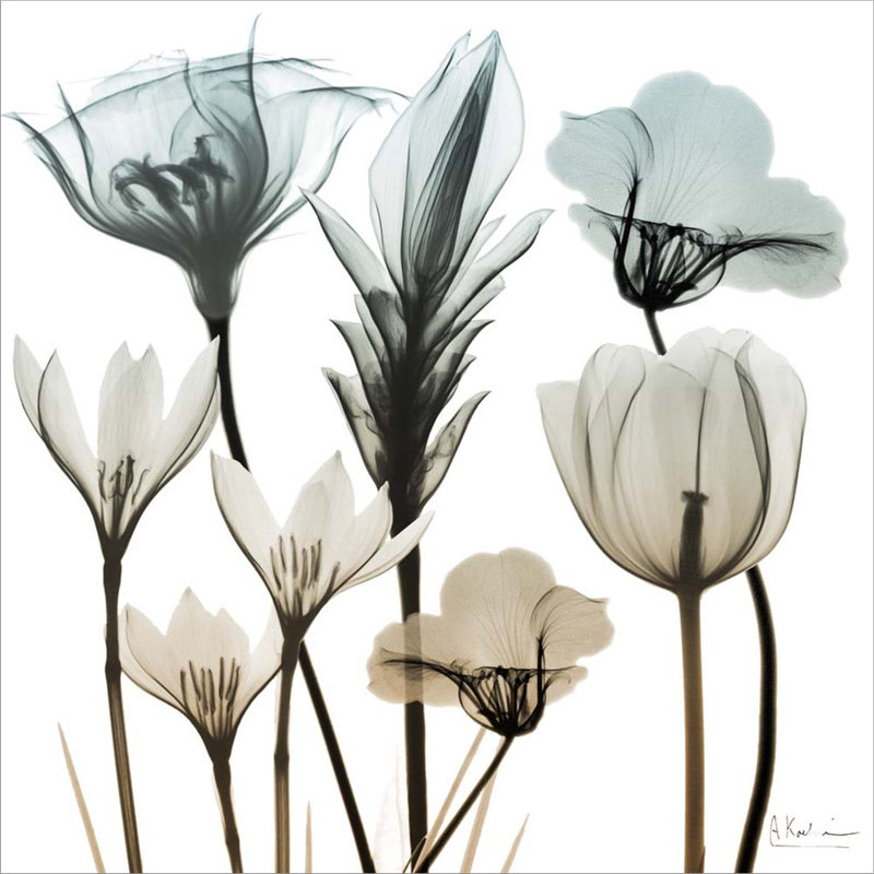 Plants & Flowers Wall Decor on Canvas