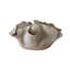 Ondine Sculptural Ceramic Vase