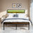 Ahmiah Metal Standard Bed