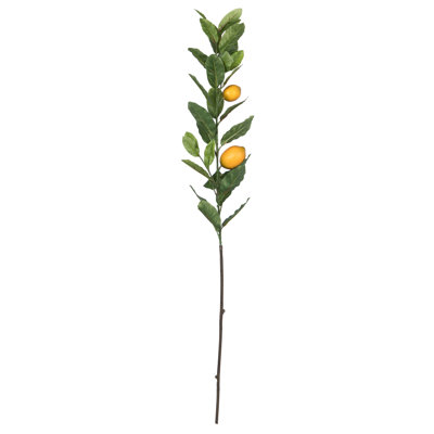 Lemon Stem