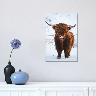 Highland Bovins I